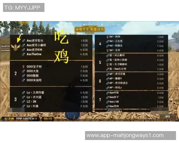 深入分析V5战队的进攻策略与战术布局全方位解读电竞比分表现